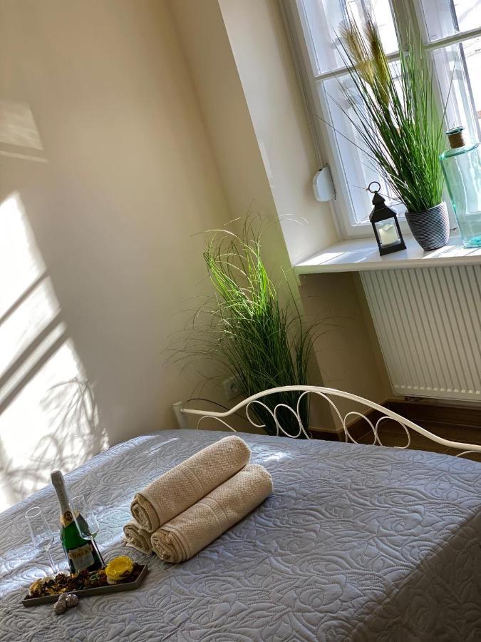 Pedal Apartman Szeged City Bagian luar foto