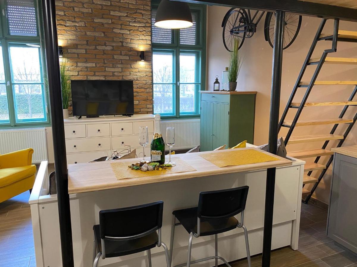 Pedal Apartman Szeged City Bagian luar foto