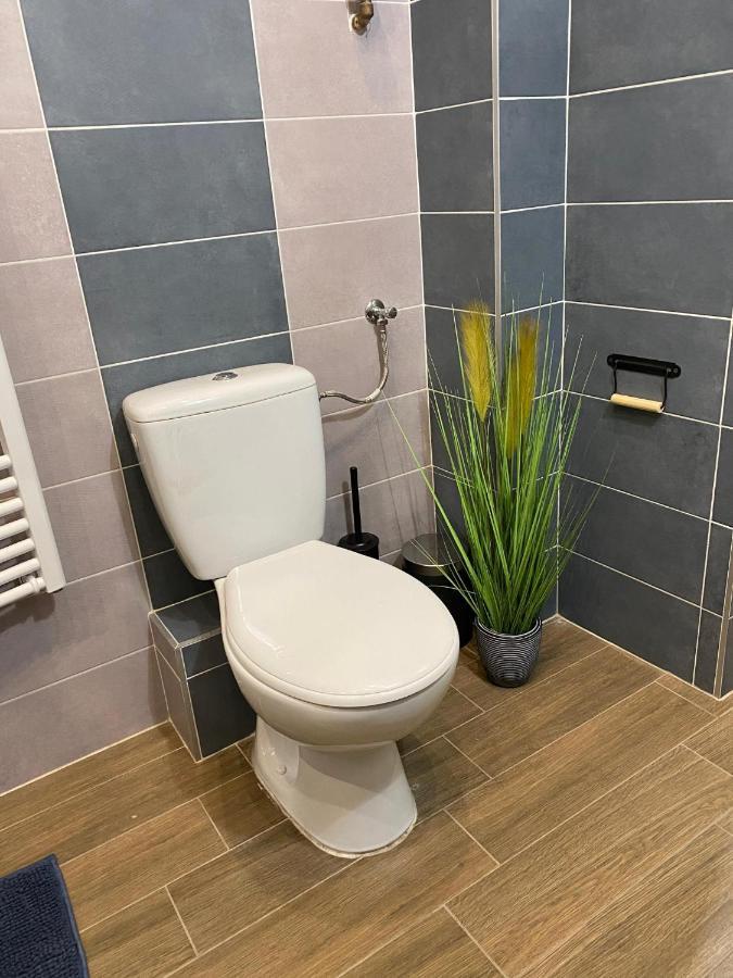 Pedal Apartman Szeged City Bagian luar foto